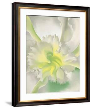 An Orchid, 1941-Georgia O'Keeffe-Framed Art Print