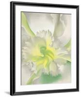 An Orchid, 1941-Georgia O'Keeffe-Framed Art Print