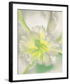 An Orchid, 1941-Georgia O'Keeffe-Framed Art Print