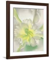 An Orchid, 1941-Georgia O'Keeffe-Framed Art Print