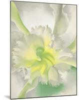 An Orchid, 1941-Georgia O'Keeffe-Mounted Art Print