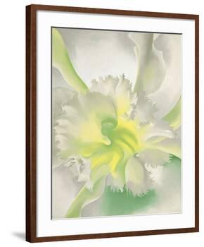 An Orchid, 1941-Georgia O'Keeffe-Framed Art Print