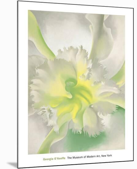 An Orchid 1941 Mounted Print Georgia O Keeffe Art Com