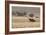 An Orix Grazing in the Namib-Naukluft National Park at Sunset-Alex Saberi-Framed Photographic Print