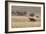 An Orix Grazing in the Namib-Naukluft National Park at Sunset-Alex Saberi-Framed Photographic Print