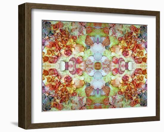 An Ornamental Symmetric Montage from Flowers and Seashells-Alaya Gadeh-Framed Photographic Print