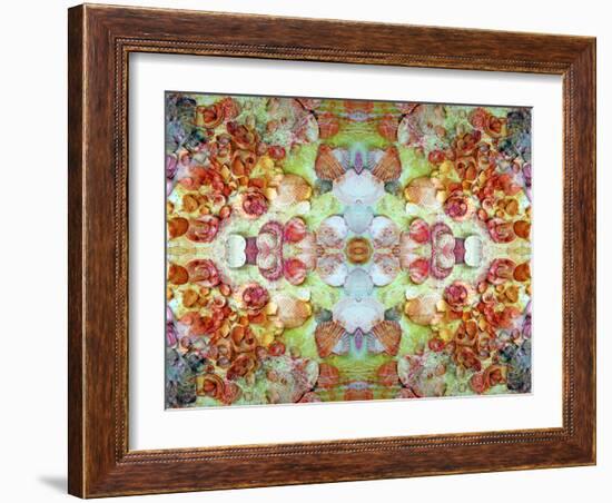 An Ornamental Symmetric Montage from Flowers and Seashells-Alaya Gadeh-Framed Photographic Print