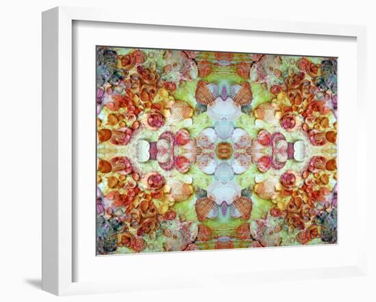 An Ornamental Symmetric Montage from Flowers and Seashells-Alaya Gadeh-Framed Photographic Print
