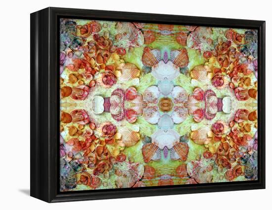 An Ornamental Symmetric Montage from Flowers and Seashells-Alaya Gadeh-Framed Premier Image Canvas