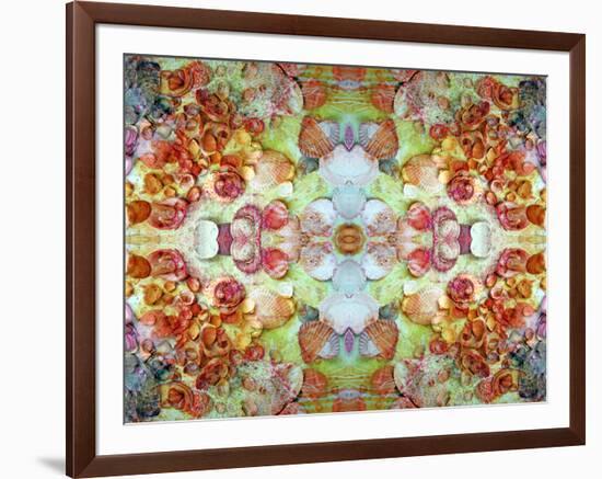 An Ornamental Symmetric Montage from Flowers and Seashells-Alaya Gadeh-Framed Photographic Print