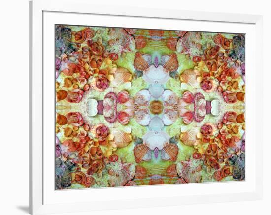 An Ornamental Symmetric Montage from Flowers and Seashells-Alaya Gadeh-Framed Photographic Print