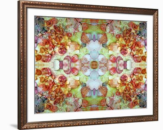 An Ornamental Symmetric Montage from Flowers and Seashells-Alaya Gadeh-Framed Photographic Print