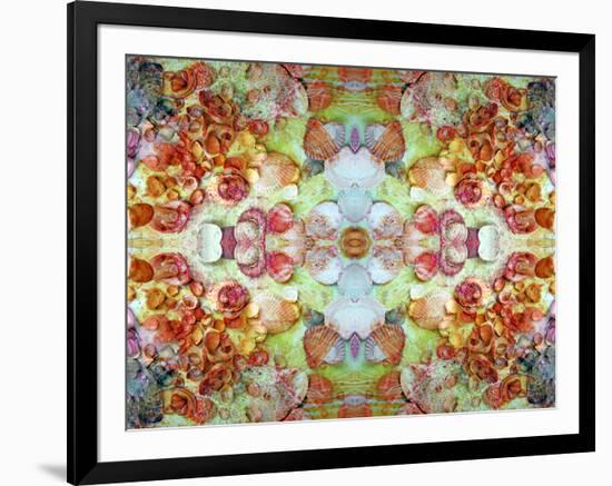 An Ornamental Symmetric Montage from Flowers and Seashells-Alaya Gadeh-Framed Photographic Print