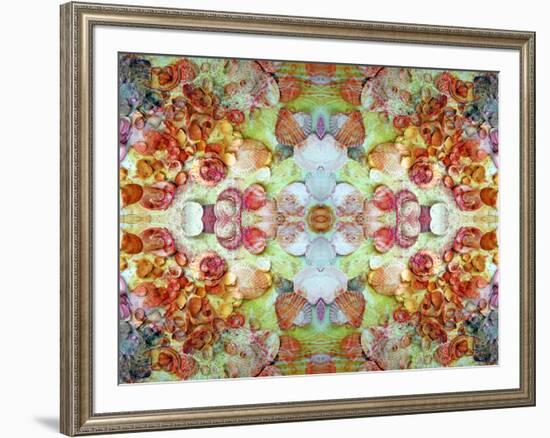 An Ornamental Symmetric Montage from Flowers and Seashells-Alaya Gadeh-Framed Photographic Print