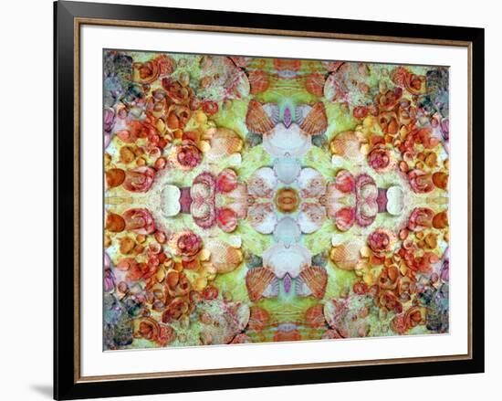 An Ornamental Symmetric Montage from Flowers and Seashells-Alaya Gadeh-Framed Photographic Print