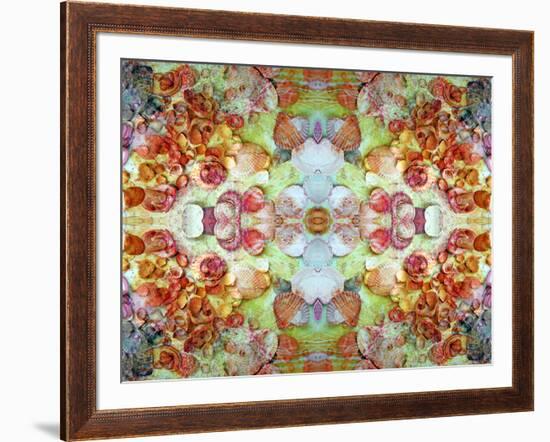 An Ornamental Symmetric Montage from Flowers and Seashells-Alaya Gadeh-Framed Photographic Print