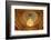 An ornate ceiling in the men's prayer room of the Sultan Qaboos Grand Mosque, Muscat, Oman.-Sergio Pitamitz-Framed Photographic Print