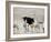 An Ostrich and Group of Springbok at a Watering Hole in Etosha National Park, Namibia-Alex Saberi-Framed Photographic Print