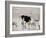 An Ostrich and Group of Springbok at a Watering Hole in Etosha National Park, Namibia-Alex Saberi-Framed Photographic Print