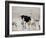 An Ostrich and Group of Springbok at a Watering Hole in Etosha National Park, Namibia-Alex Saberi-Framed Photographic Print