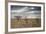 An Ostrich at Sunrise in Etosha National Park-Alex Saberi-Framed Photographic Print