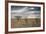 An Ostrich at Sunrise in Etosha National Park-Alex Saberi-Framed Photographic Print