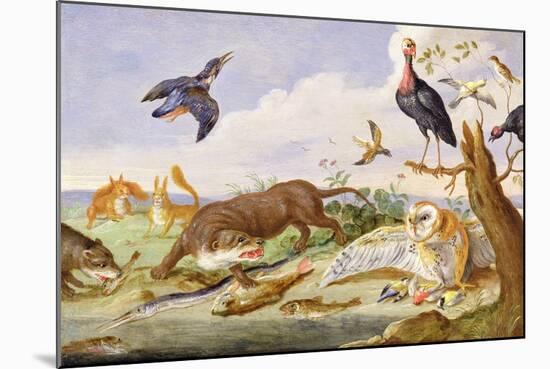 An Otter and an Owl Guarding their Catches-Jan van Kessel the Elder-Mounted Giclee Print