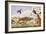 An Otter and an Owl Guarding their Catches-Jan van Kessel the Elder-Framed Giclee Print