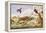 An Otter and an Owl Guarding their Catches-Jan van Kessel the Elder-Framed Premier Image Canvas