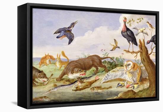 An Otter and an Owl Guarding their Catches-Jan van Kessel the Elder-Framed Premier Image Canvas