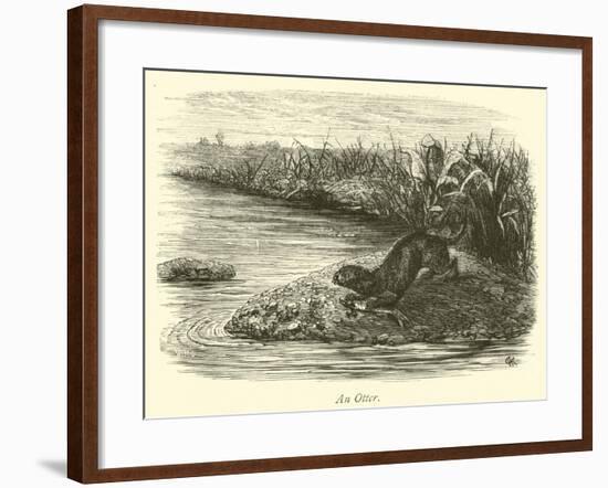 An Otter-null-Framed Giclee Print