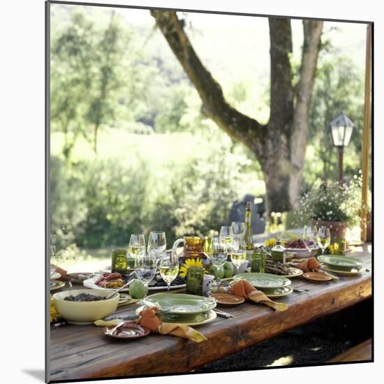 An Outdoor Table Setting with a Vegetarian Meal-Renée Comet-Mounted Photographic Print