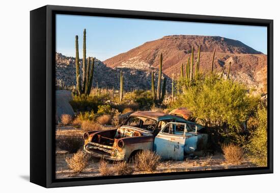 An rusted out car in the Sonoran Desert, Baja California, Mexico-Mark A Johnson-Framed Premier Image Canvas