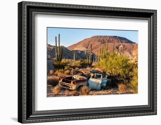 An rusted out car in the Sonoran Desert, Baja California, Mexico-Mark A Johnson-Framed Photographic Print