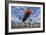 An S-58T Picks Up The Lifting Line On The Top Of A Building In Chicago, Illinois-null-Framed Photographic Print