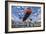 An S-58T Picks Up The Lifting Line On The Top Of A Building In Chicago, Illinois-null-Framed Photographic Print