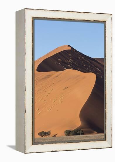 An s-curve on a tall orange-sand dune in Sossusvlei within Namib-Naukluft National Park, Namibia.-Brenda Tharp-Framed Premier Image Canvas