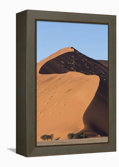 An s-curve on a tall orange-sand dune in Sossusvlei within Namib-Naukluft National Park, Namibia.-Brenda Tharp-Framed Premier Image Canvas