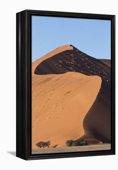 An s-curve on a tall orange-sand dune in Sossusvlei within Namib-Naukluft National Park, Namibia.-Brenda Tharp-Framed Premier Image Canvas