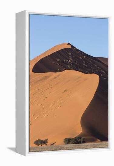 An s-curve on a tall orange-sand dune in Sossusvlei within Namib-Naukluft National Park, Namibia.-Brenda Tharp-Framed Premier Image Canvas