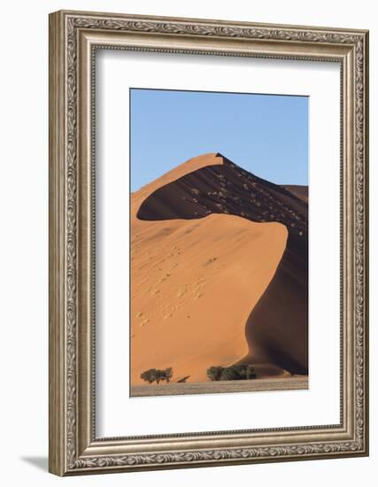 An s-curve on a tall orange-sand dune in Sossusvlei within Namib-Naukluft National Park, Namibia.-Brenda Tharp-Framed Photographic Print