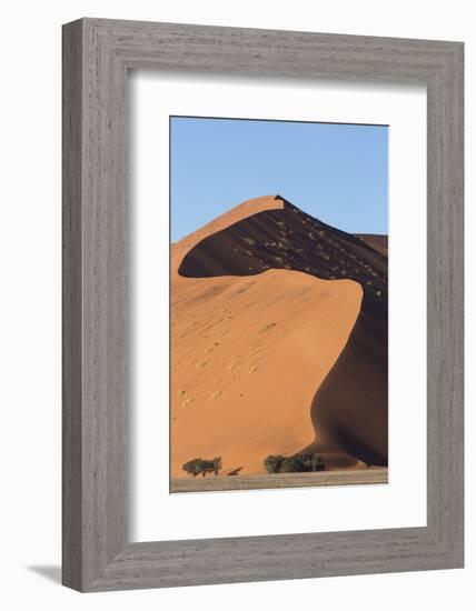 An s-curve on a tall orange-sand dune in Sossusvlei within Namib-Naukluft National Park, Namibia.-Brenda Tharp-Framed Photographic Print