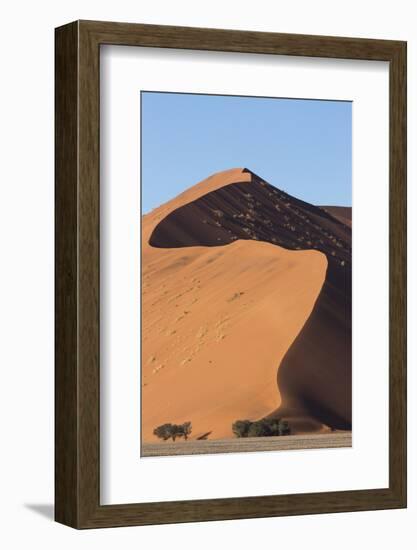 An s-curve on a tall orange-sand dune in Sossusvlei within Namib-Naukluft National Park, Namibia.-Brenda Tharp-Framed Photographic Print