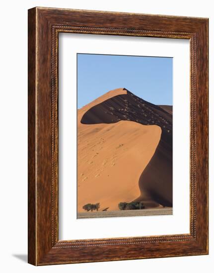 An s-curve on a tall orange-sand dune in Sossusvlei within Namib-Naukluft National Park, Namibia.-Brenda Tharp-Framed Photographic Print