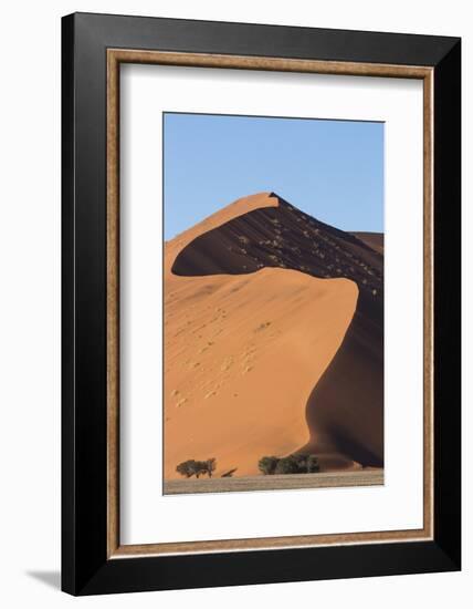 An s-curve on a tall orange-sand dune in Sossusvlei within Namib-Naukluft National Park, Namibia.-Brenda Tharp-Framed Photographic Print