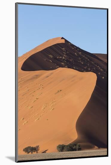 An s-curve on a tall orange-sand dune in Sossusvlei within Namib-Naukluft National Park, Namibia.-Brenda Tharp-Mounted Photographic Print
