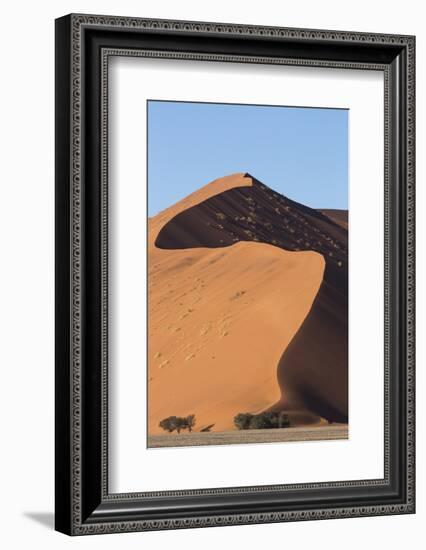 An s-curve on a tall orange-sand dune in Sossusvlei within Namib-Naukluft National Park, Namibia.-Brenda Tharp-Framed Photographic Print