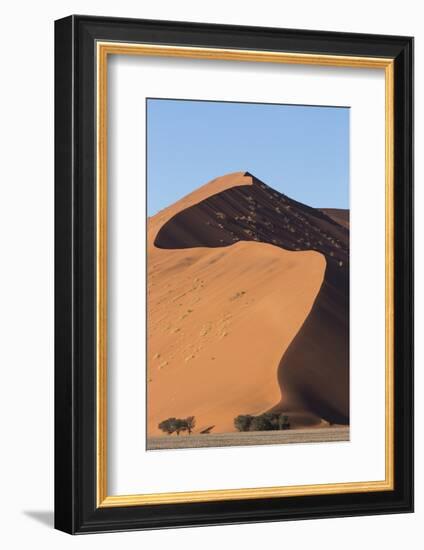 An s-curve on a tall orange-sand dune in Sossusvlei within Namib-Naukluft National Park, Namibia.-Brenda Tharp-Framed Photographic Print