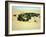 An untended oasis at the "Rub 'al-Khali", the Empty Quarter-Werner Forman-Framed Giclee Print