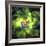 An Unusual Nebula in the Cosmos Has a Heart at its Center-null-Framed Art Print